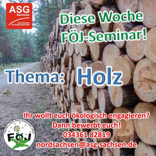 Seminar Holz small